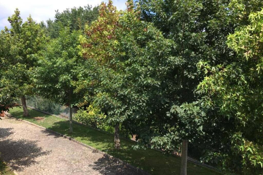 Photo of Outdoor in Palmaz