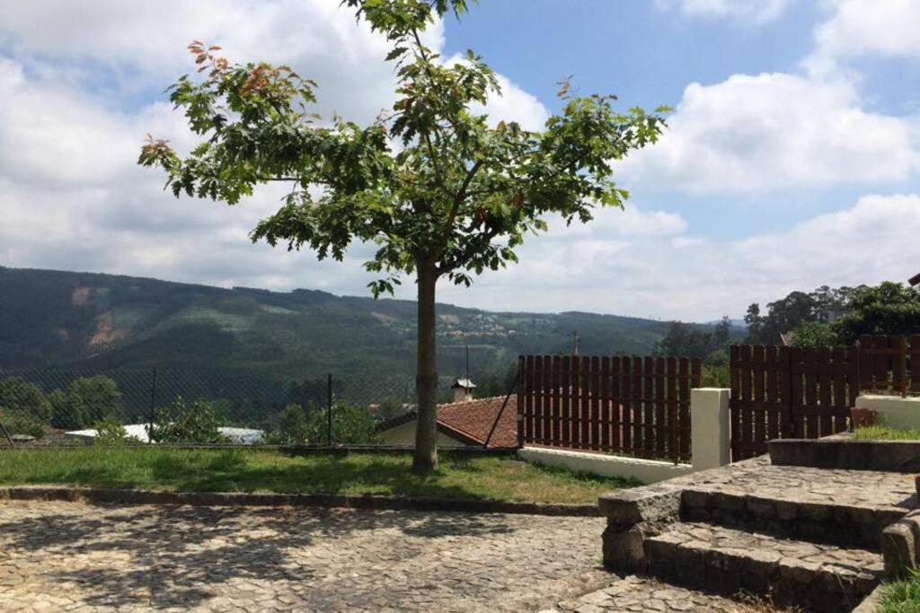 Photo of Others in Palmaz