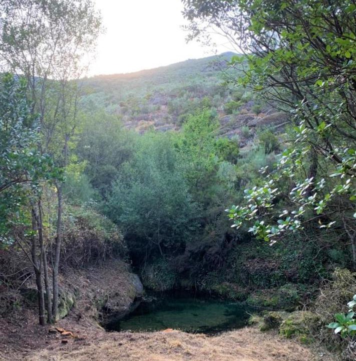 Photo of Others in Alvoco da Serra