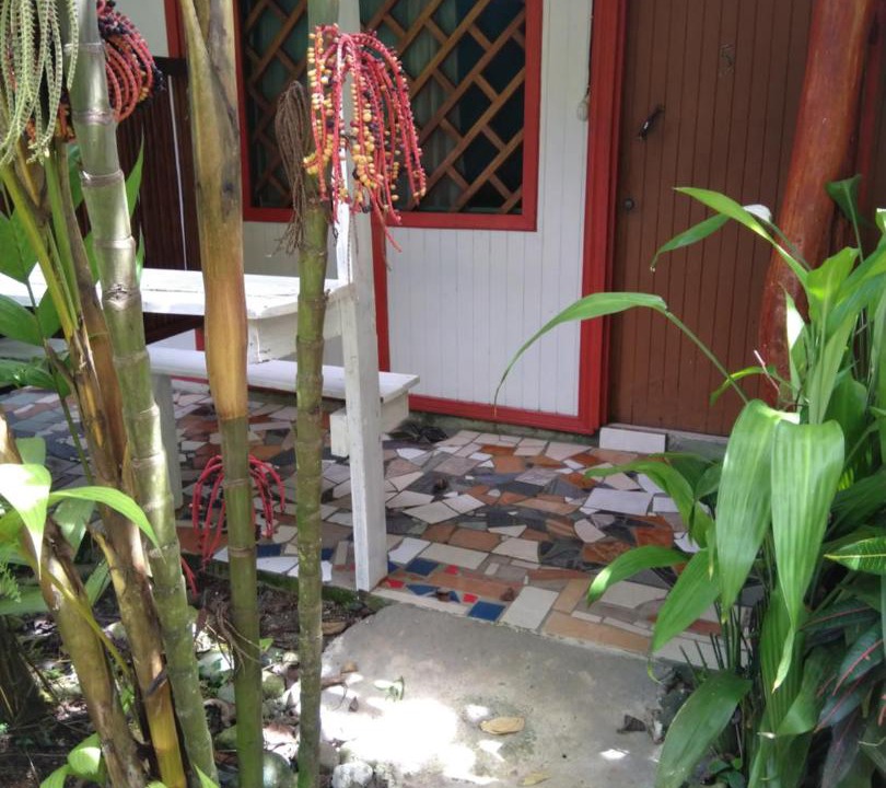 Photo of Others in Puerto Viejo de Talamanca