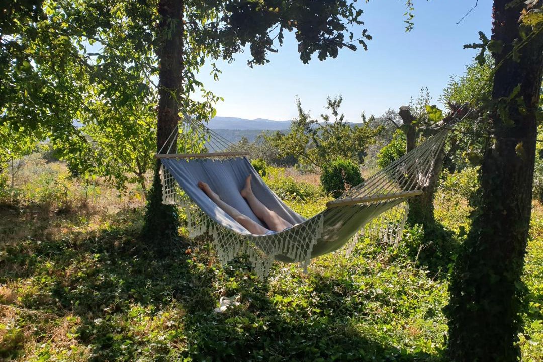 Photo of Outdoor in Penela