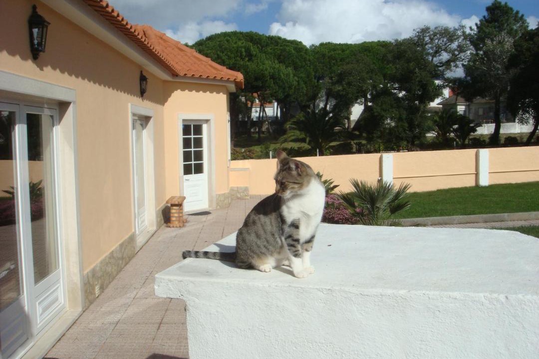 Photo of Others in Malveira