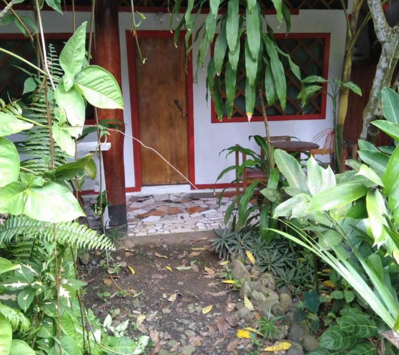 Photo of Others in Puerto Viejo de Talamanca