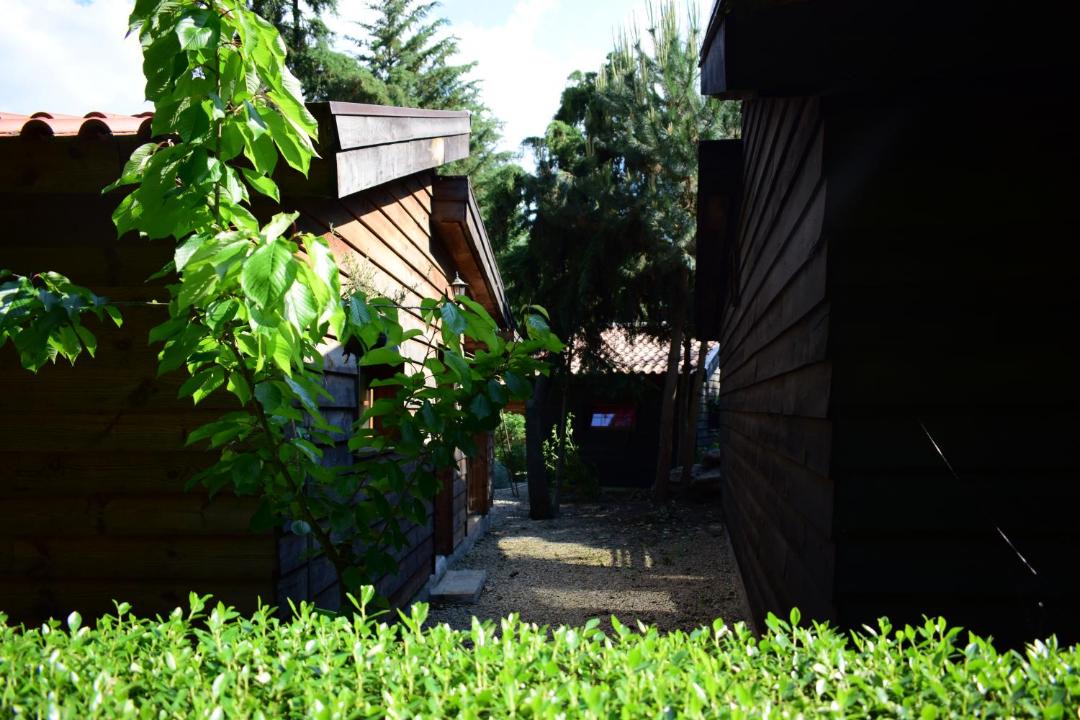 Photo of Others in Moimenta da Beira