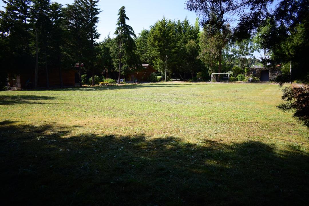 Photo of Others in Moimenta da Beira