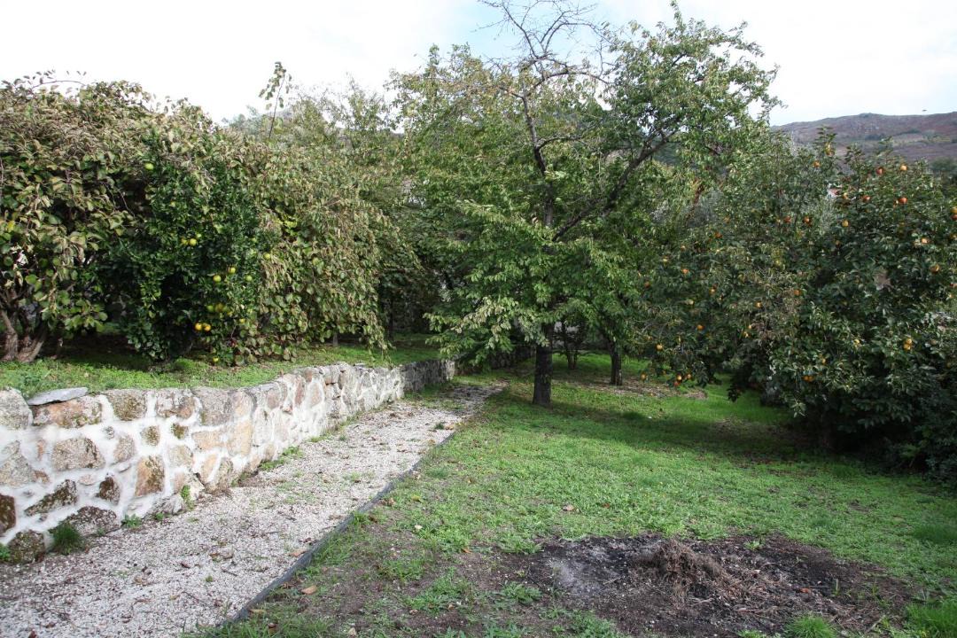 Photo of Others in Sao Martinho de Mouros