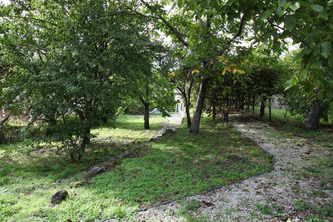 Photo of Others in Sao Martinho de Mouros