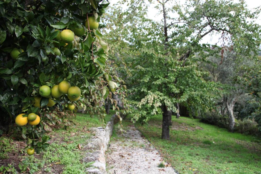 Photo of Others in Sao Martinho de Mouros