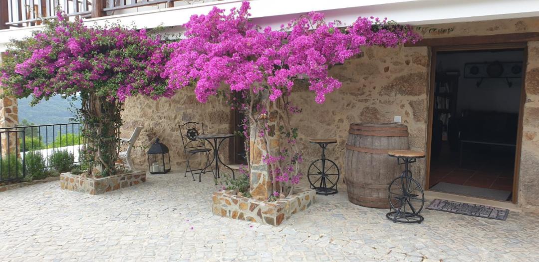 Photo of Buildings in Penela