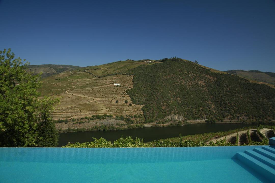 Photo of Others in Adorigo