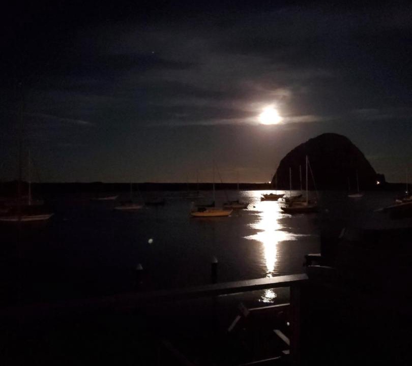 Photo of Others in Morro Bay