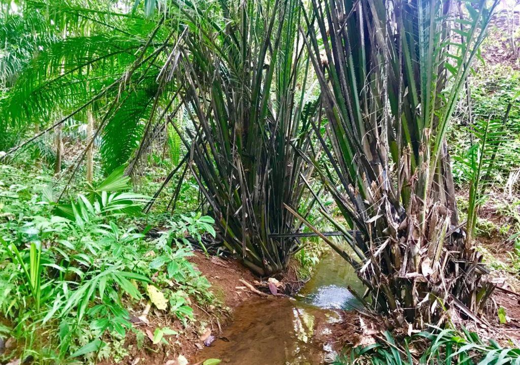 Photo of Others in Punta Mala