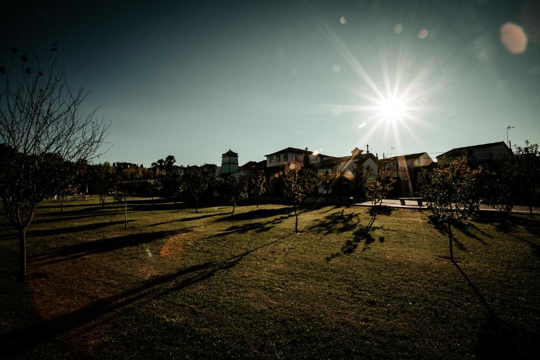 Photo of Others in Maceira