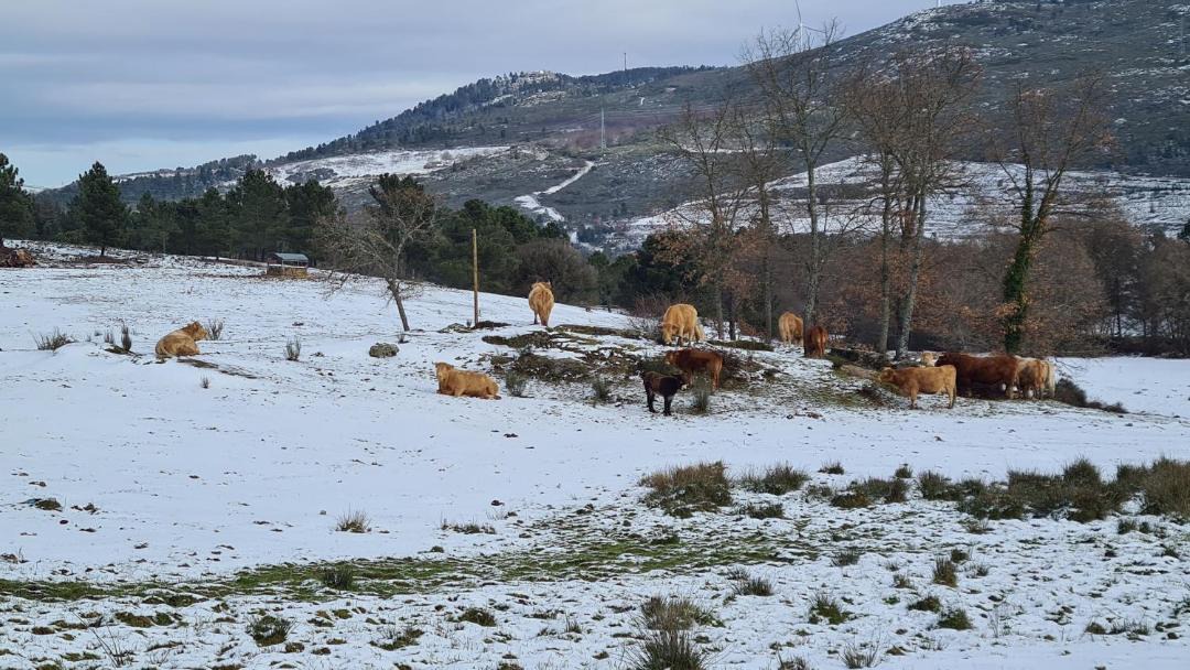 Photo of Others in Sequeiros