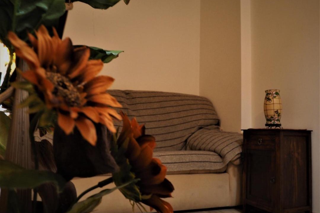 Photo of Livingroom in Manteigas