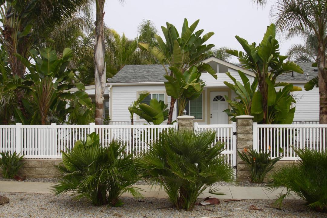 Photo of Buildings in Townsite