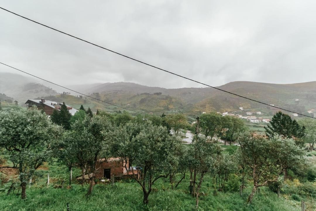 Photo of Outdoor in Unhais da Serra