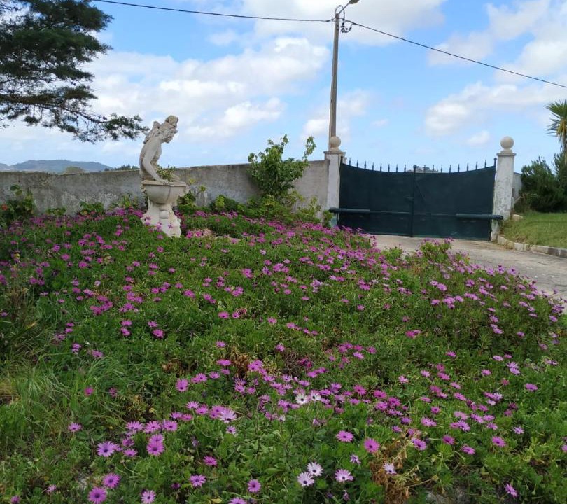 Photo of Others in Enxara do Bispo