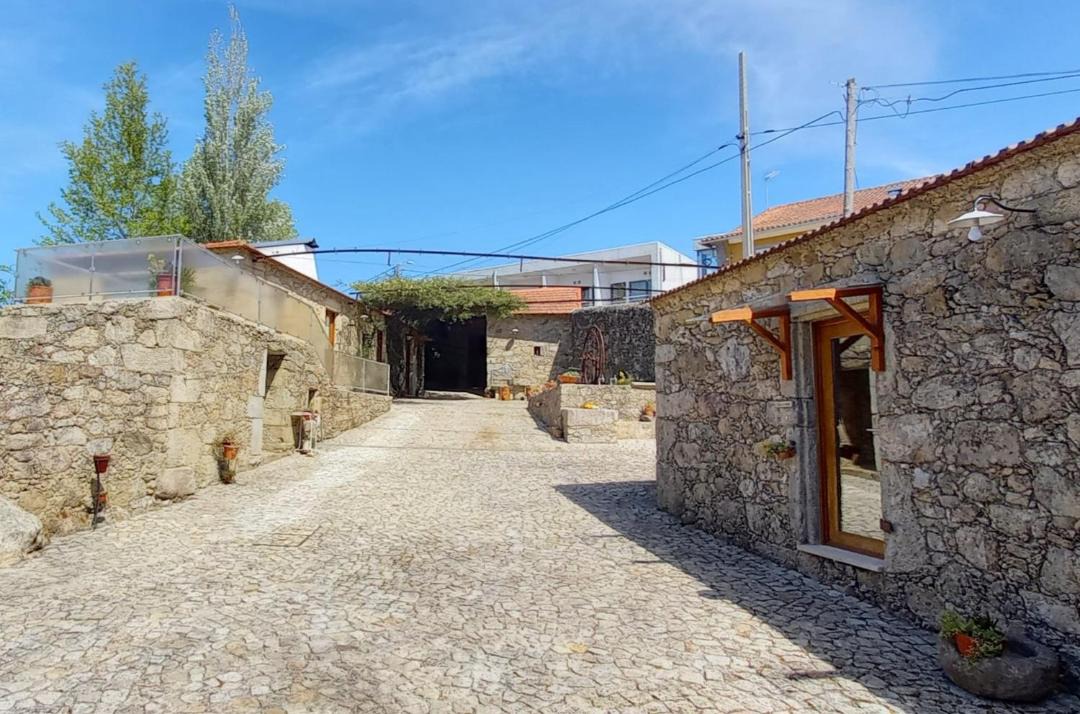 Photo of Others in Oliveira De Azemeis