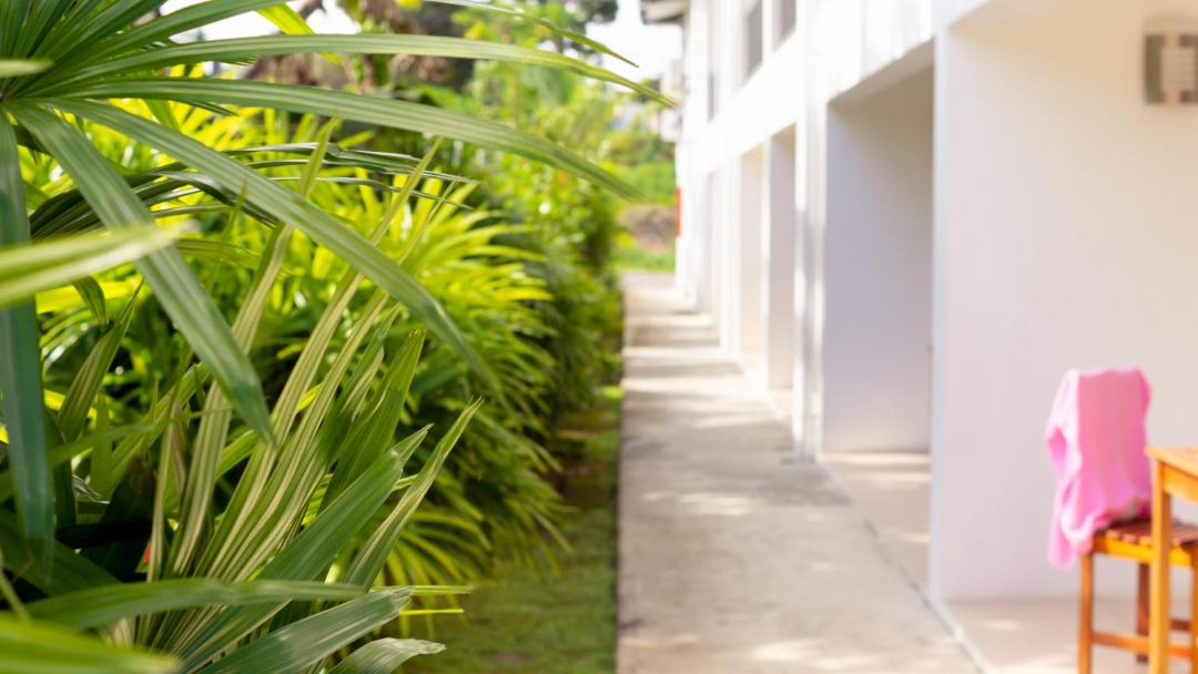 Photo of Others in Suva