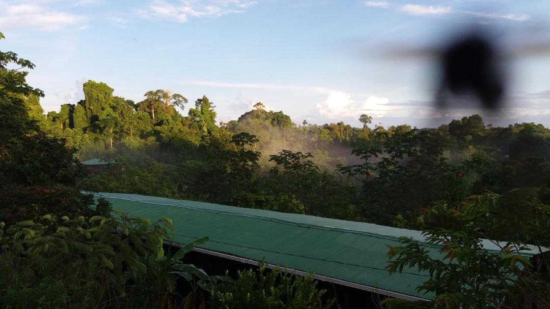 Photo of Outdoor in Drake Bay
