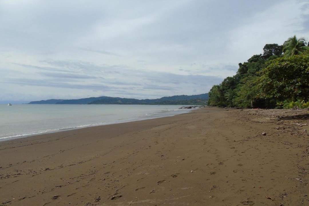 Photo of Outdoor in Drake Bay