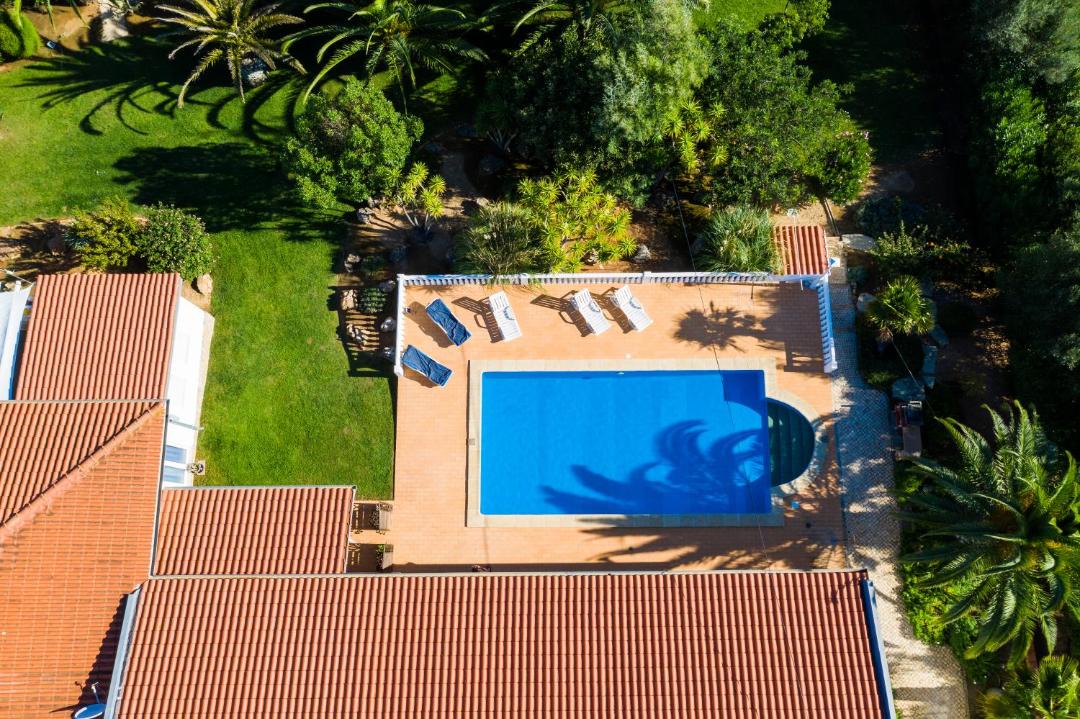 Photo of Others in Funchal