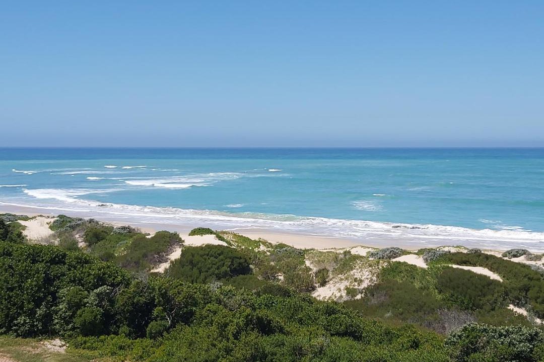 Photo of Others in Aston Bay