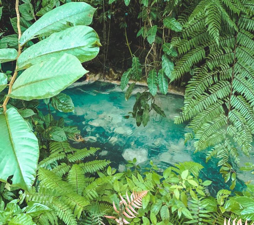 Photo of Others in Guayabo