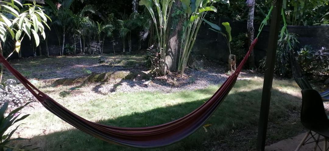 Photo of Others in Puerto Viejo de Talamanca