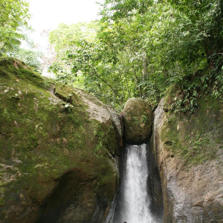 Photo of Others in Punta Mala