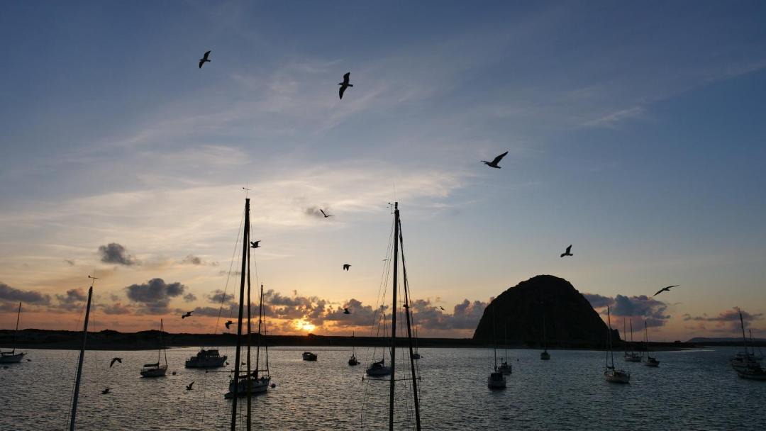Photo of Others in Morro Bay
