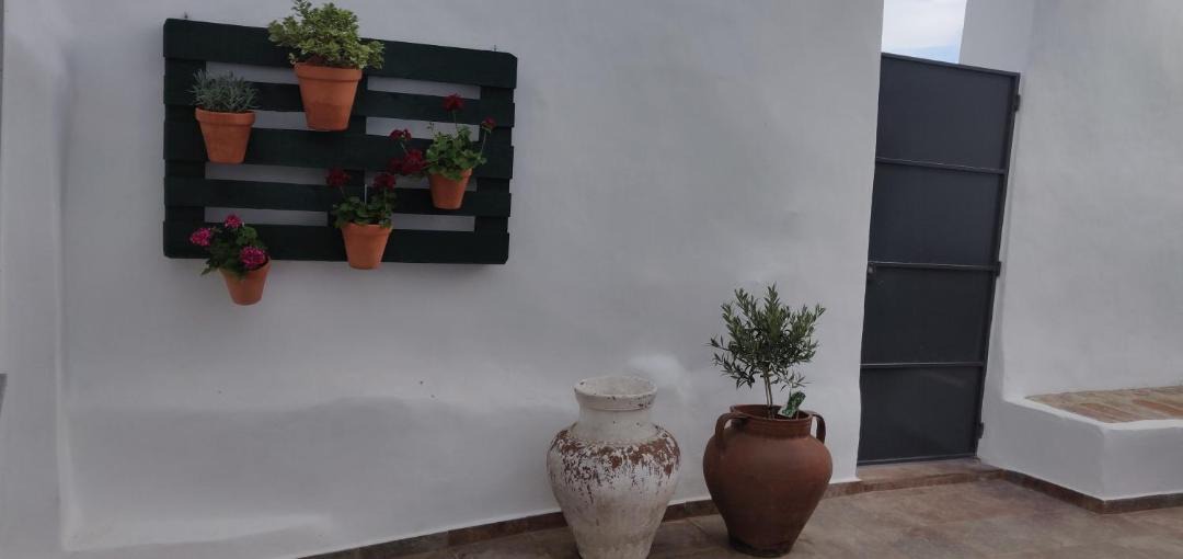 Photo of Others in Reguengos de Monsaraz