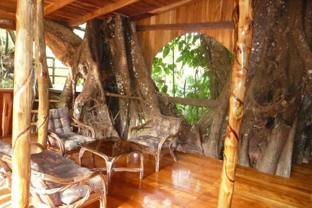 Photo of Others in Cahuita