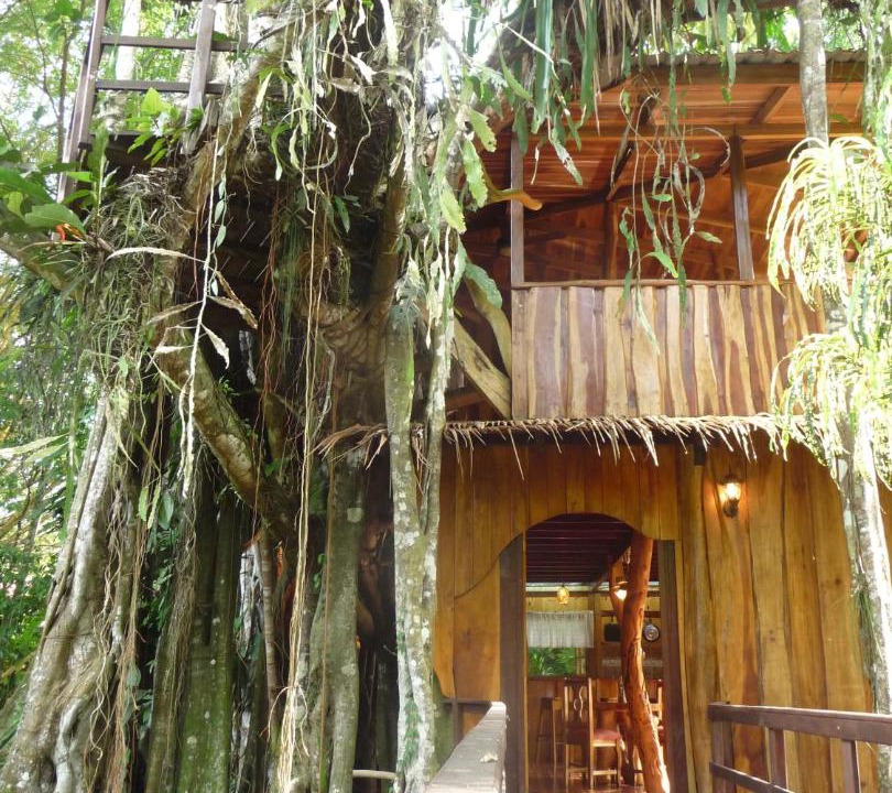 Photo of Others in Cahuita