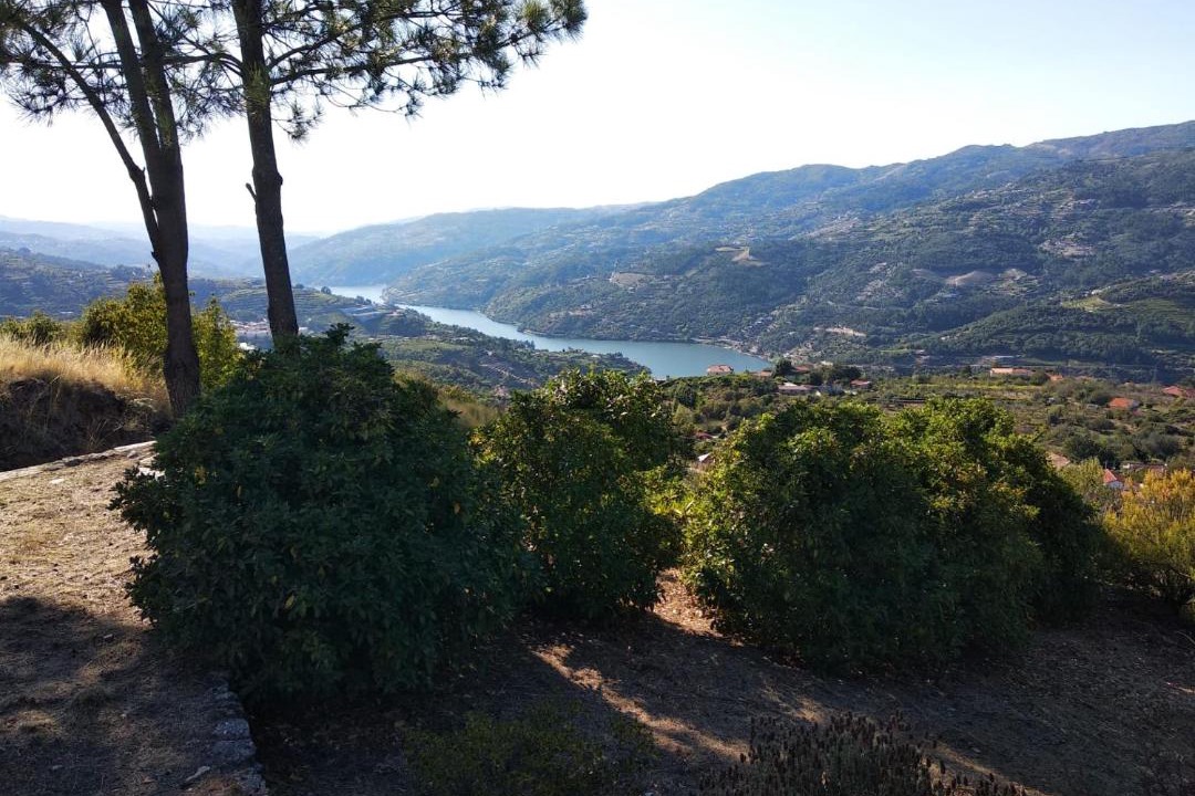 Photo of Outdoor in Resende