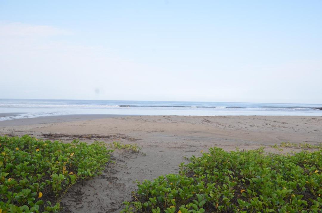Photo of Outdoor in Playa El Coco