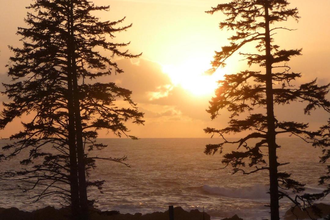Photo of Others in Ucluelet