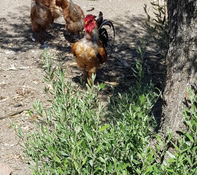 Photo of Others in Reguengos de Monsaraz