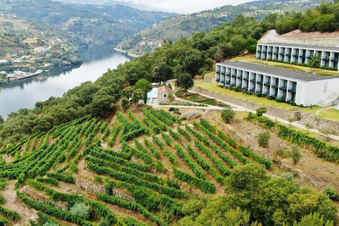 Photo of Others in Santa Cruz do Douro