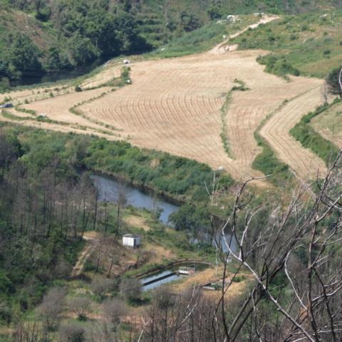 Photo of Outdoor in Avo