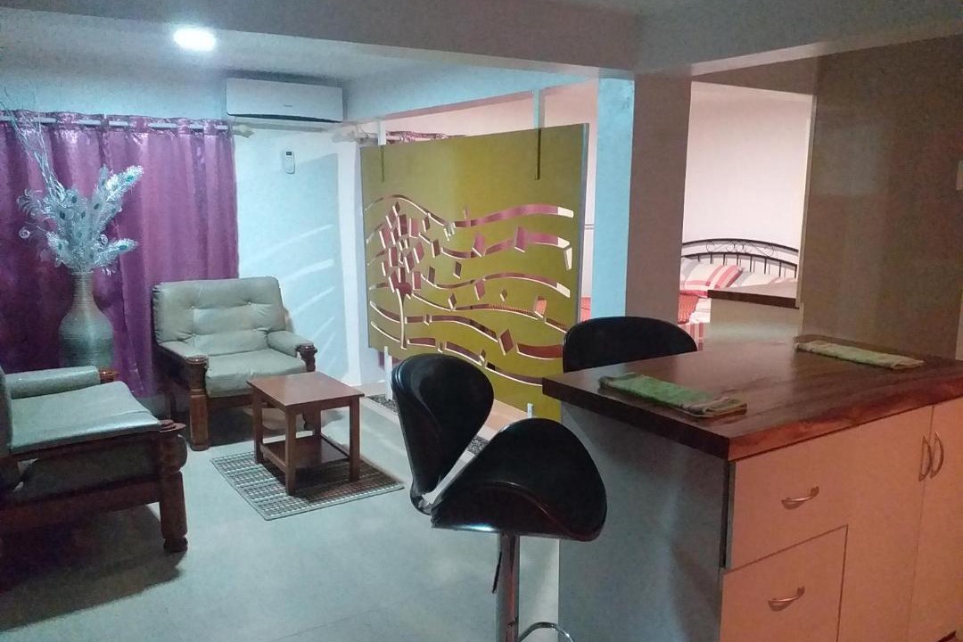 Photo of Livingroom in Suva