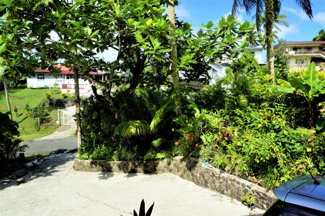 Photo of Others in Suva