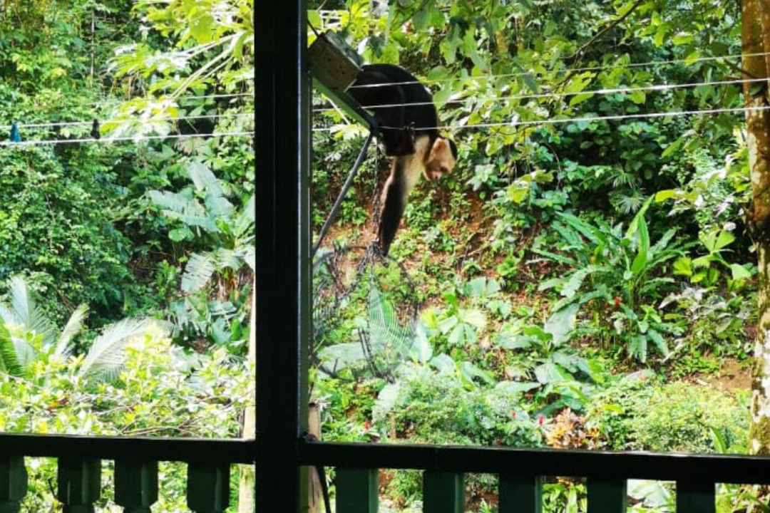Photo of Others in Bellavista