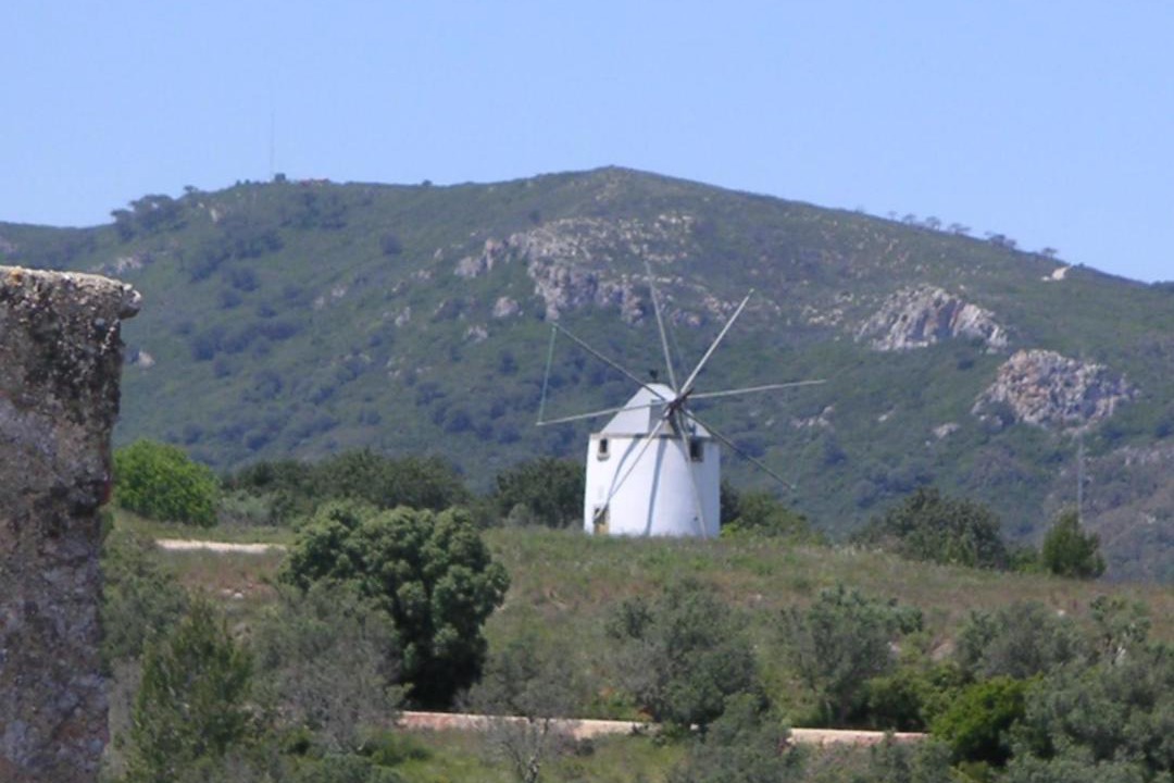 Photo of Others in Setubal