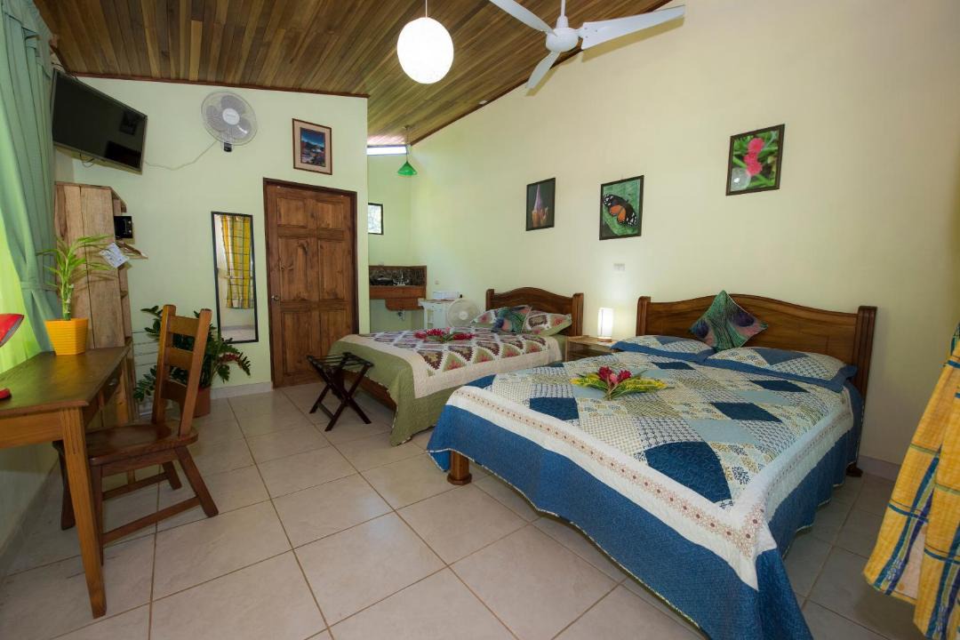 Photo of Others in Puerto Viejo de Talamanca