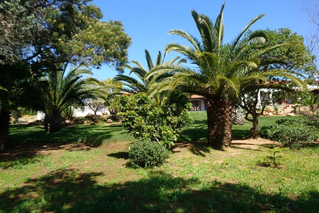 Photo of Outdoor in Funchal