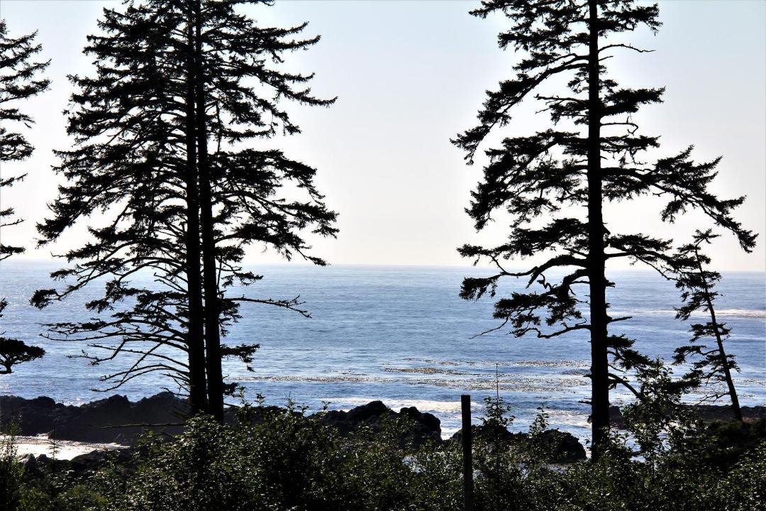 Photo of Others in Ucluelet
