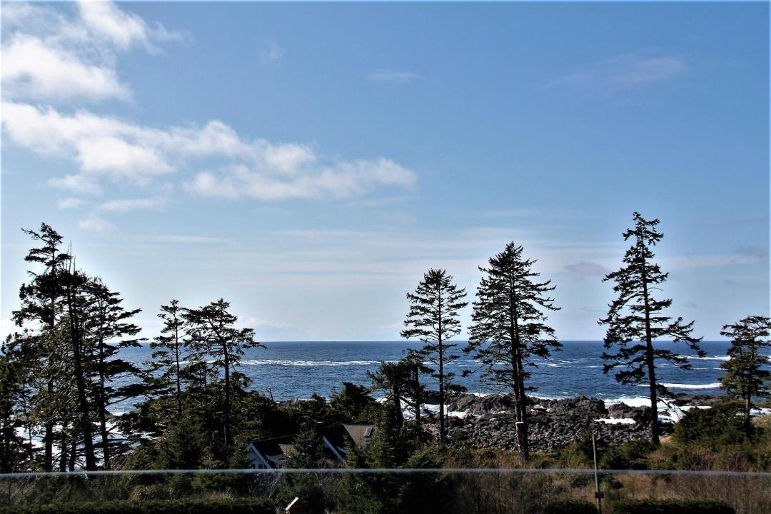 Photo of Others in Ucluelet