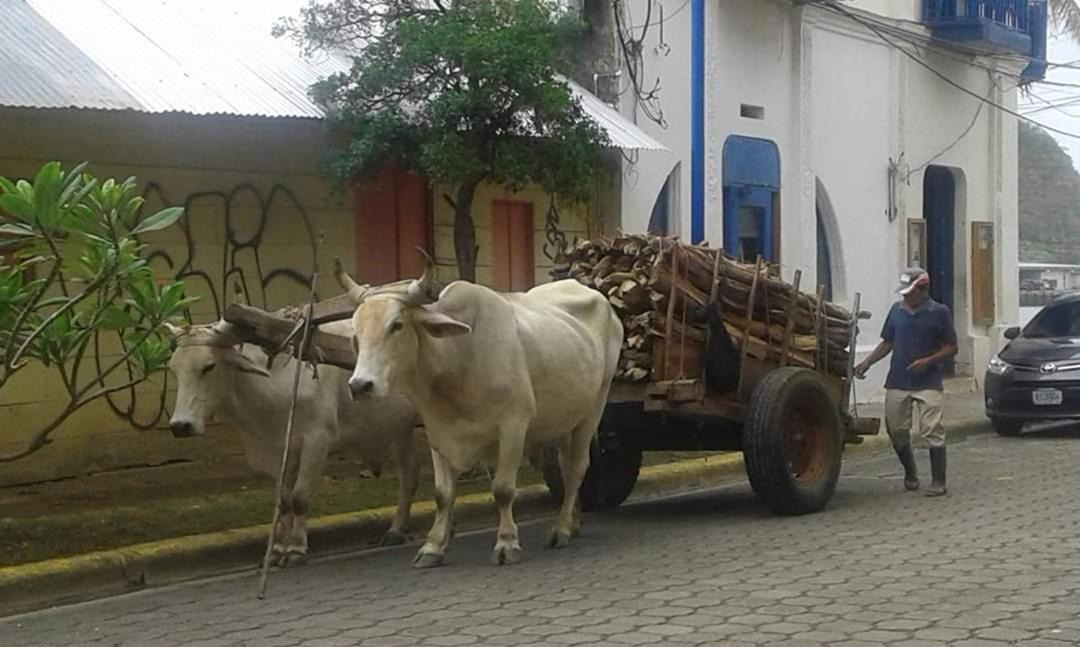Photo of Others in San Juan del Sur
